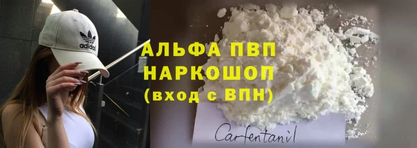 стаф Кукмор