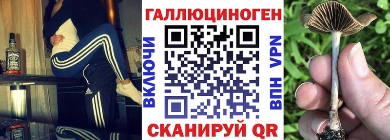 Псилоцибиновые грибы MAGIC MUSHROOMS  KRAKEN как войти  Чаплыгин 